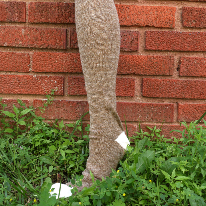 brownP1440181