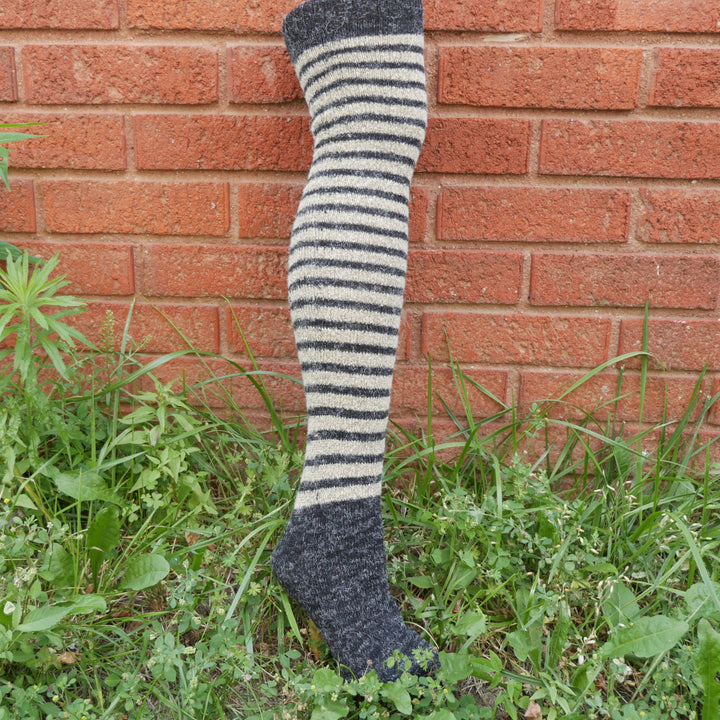 graystripeP1440410